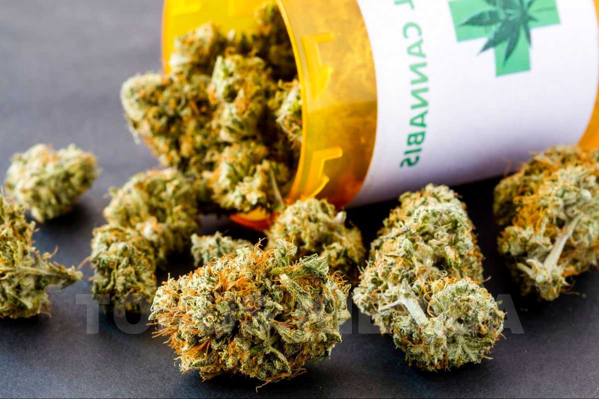 Влияние на мозг марихуаны тест на наркотики купить воронеж аптека